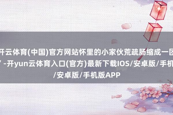 开云体育(中国)官方网站怀里的小家伙荒疏肠缩成一团“面包”-开yun云体育入口(官方)最新下载IOS/安卓版/手机版APP